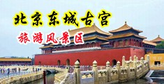 操操操死丝袜美女中国北京-东城古宫旅游风景区